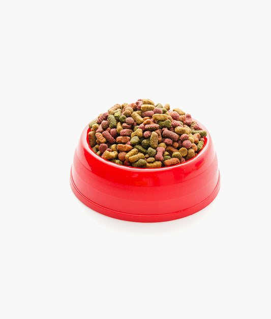 Energizing Dog Food