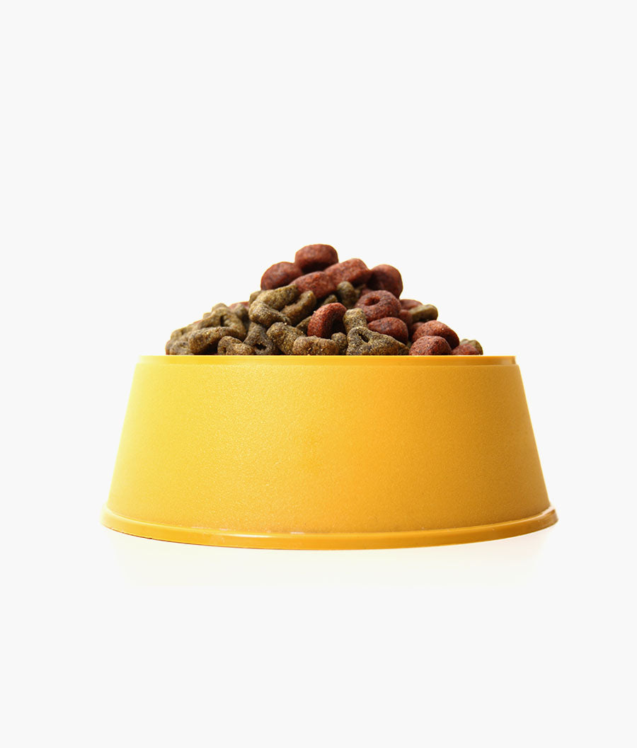 Tuna & Salmon Dry Food