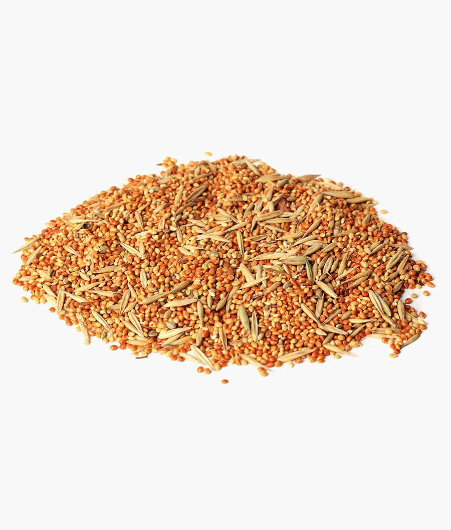 All Life Stage Birds Millets
