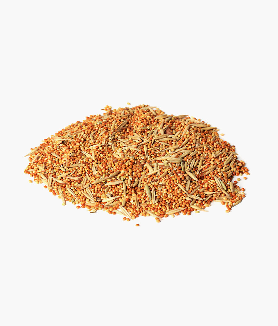 Bird Protein Supplement