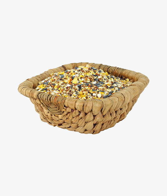 Healthy Premium Mix Seeds