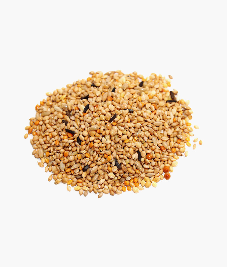 Organic Mix Seeds