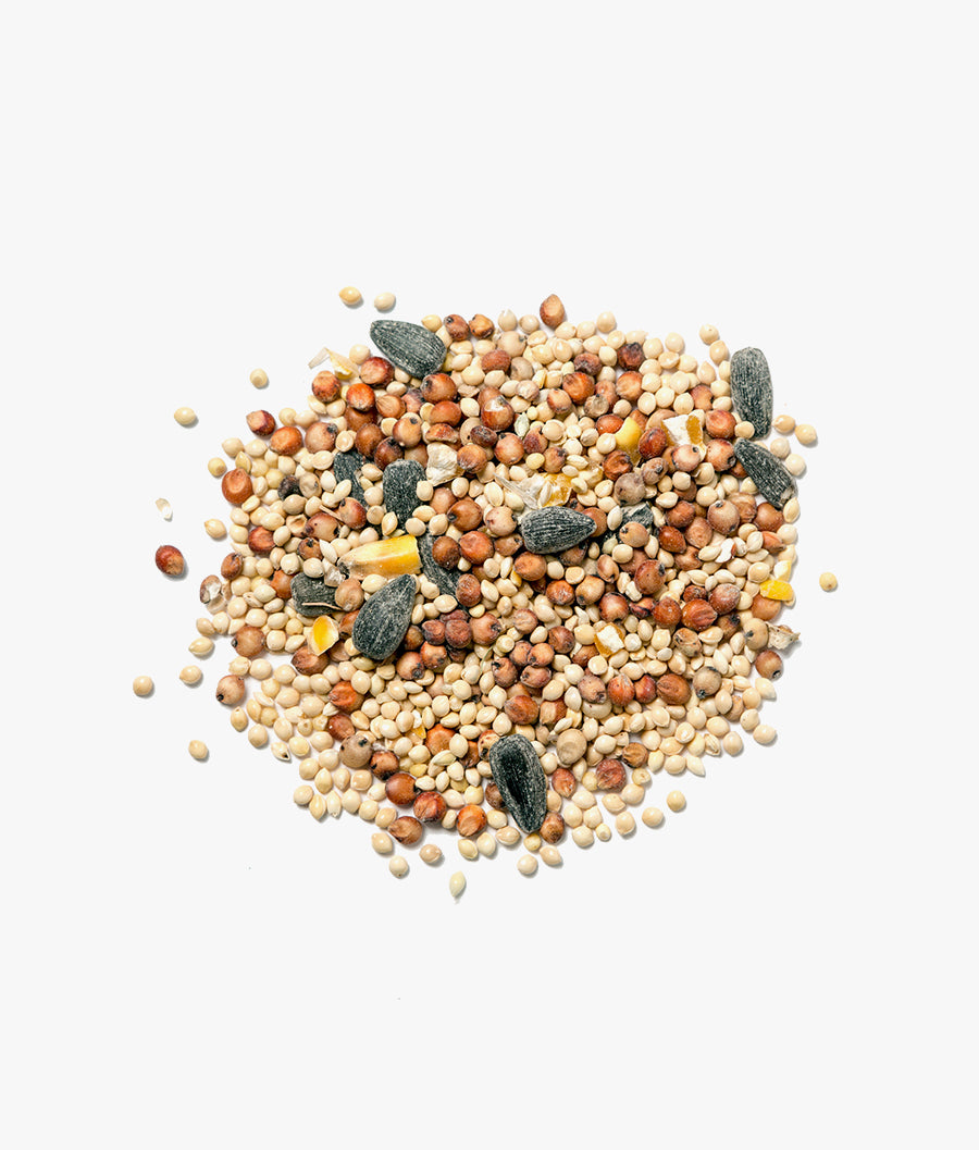 Healthy Premium Mix Seeds